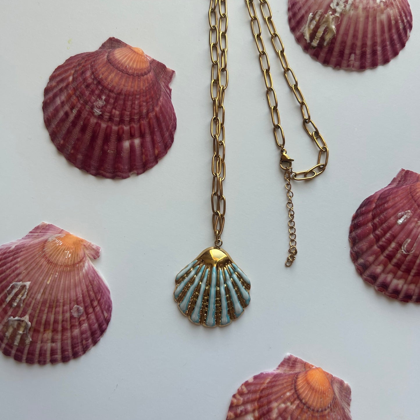 Collier Coquillage